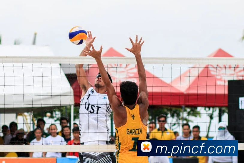 超凡国际服务体系